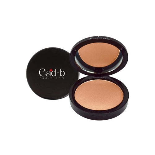Dual Blend Powder Foundation - Birch WD112 | Matte, Sleek Finish - Which Mark