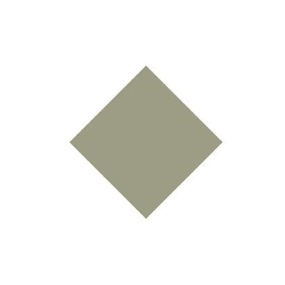 Premium Nail Lacquer, DUSTY GREEN - 180, MINT GREEN CRÈME NAIL POLISH - Which Mark
