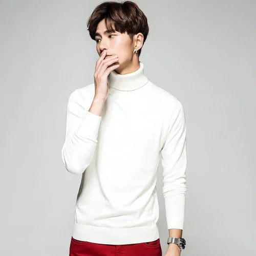 Solid Color Long Sleeve Turtleneck Pullover Men's Base Sweater - Which Mark