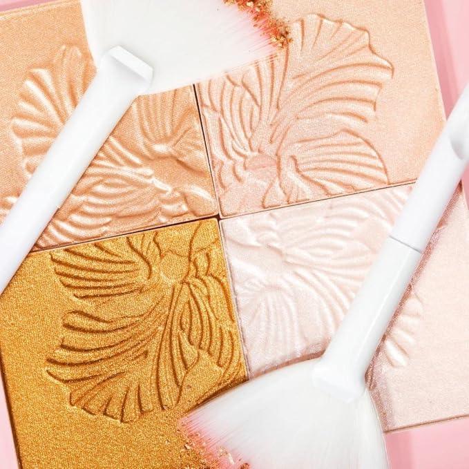 Wet n Wild Megaglo Highlighting Powder, Blossom Glow, 0.19 Fluid Ounce - Which Mark