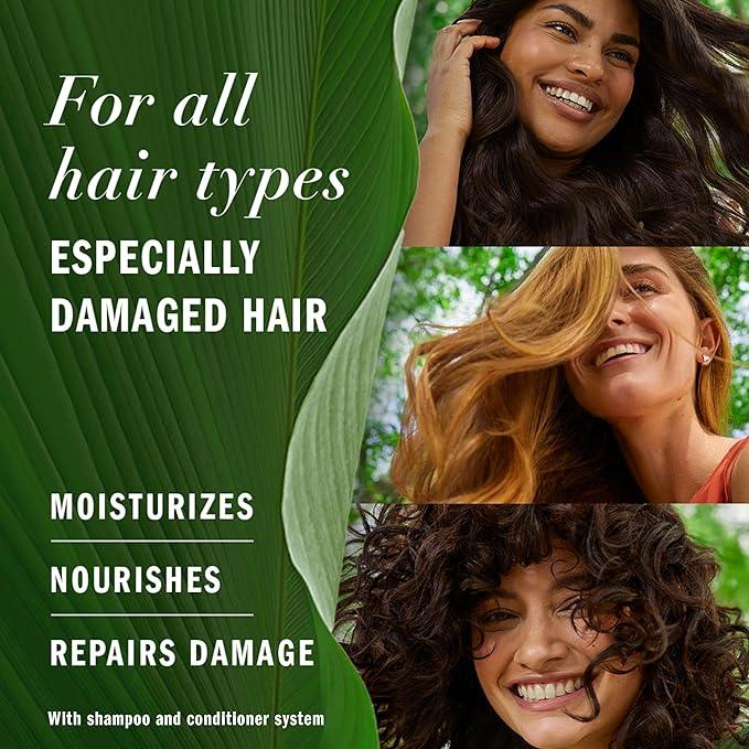Herbal Essences Pure Plants Argan Oil Shampoo and Conditioner Set, with Certified Camellia Oil and Aloe Vera, For All Hair Types, Especially Damaged Hair, 1.2 L Total (2 Count of 600 mL Each) - Which Mark