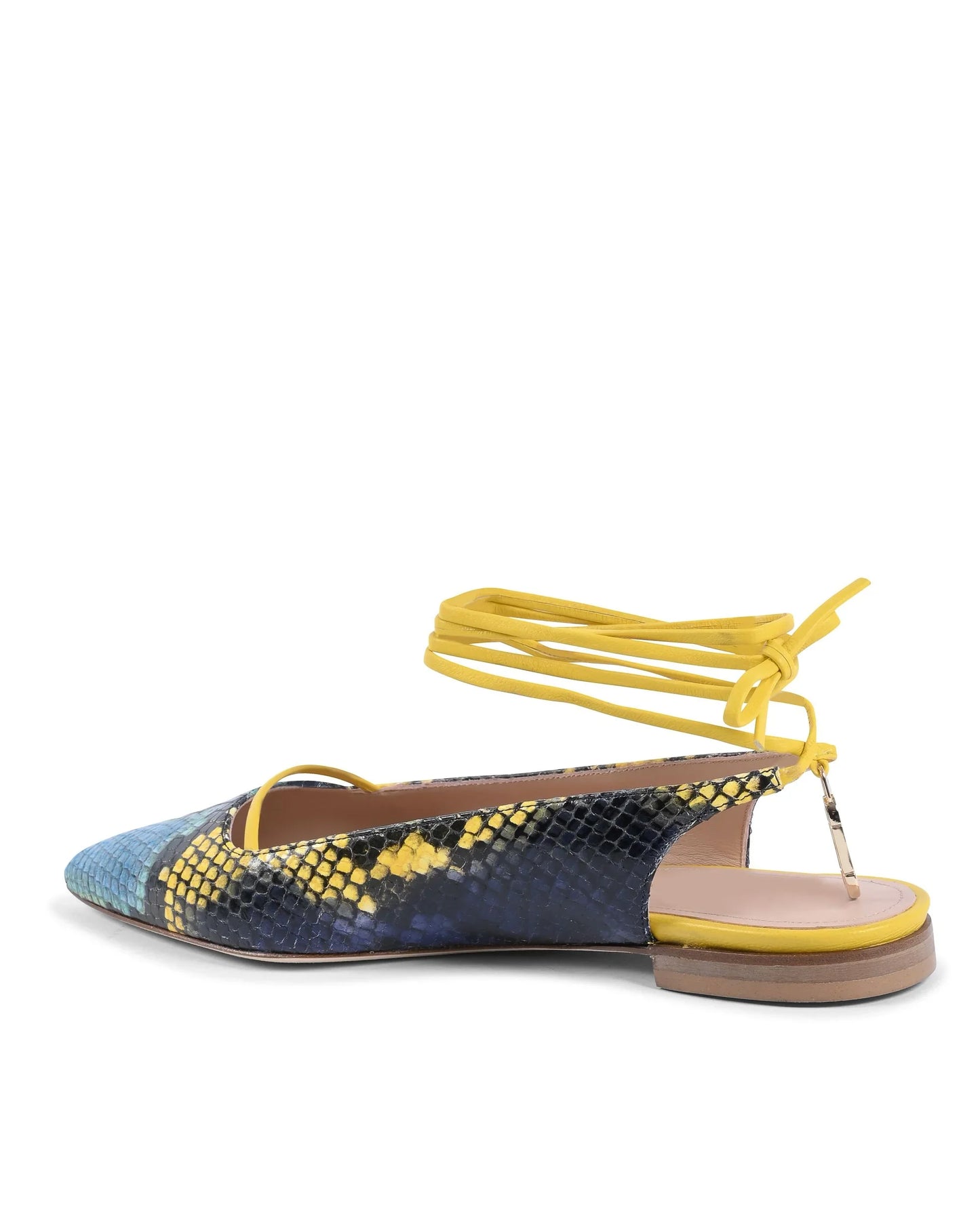 Brenda Flat Python - Blue/Yellow - Which Mark