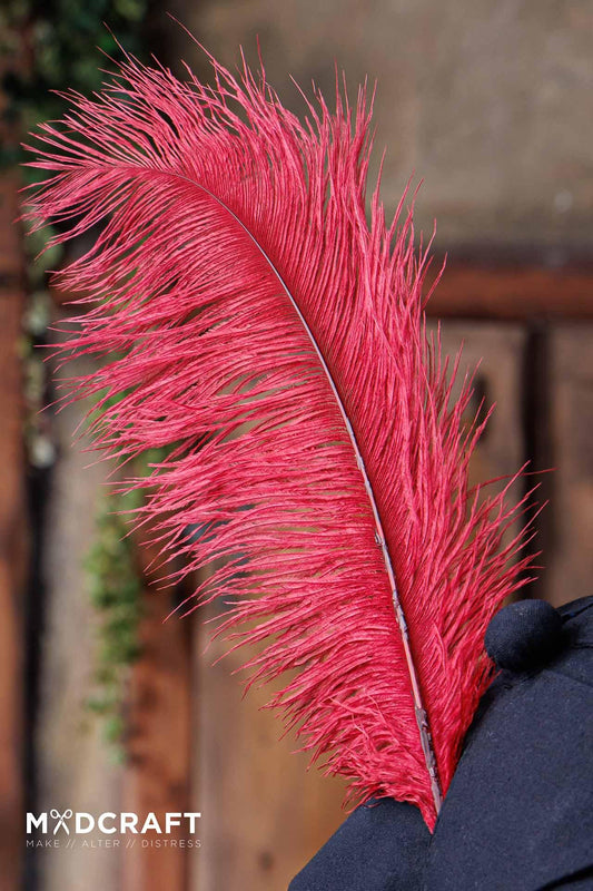 Ostrich Feather 45-50cm Dark Red - Which Mark