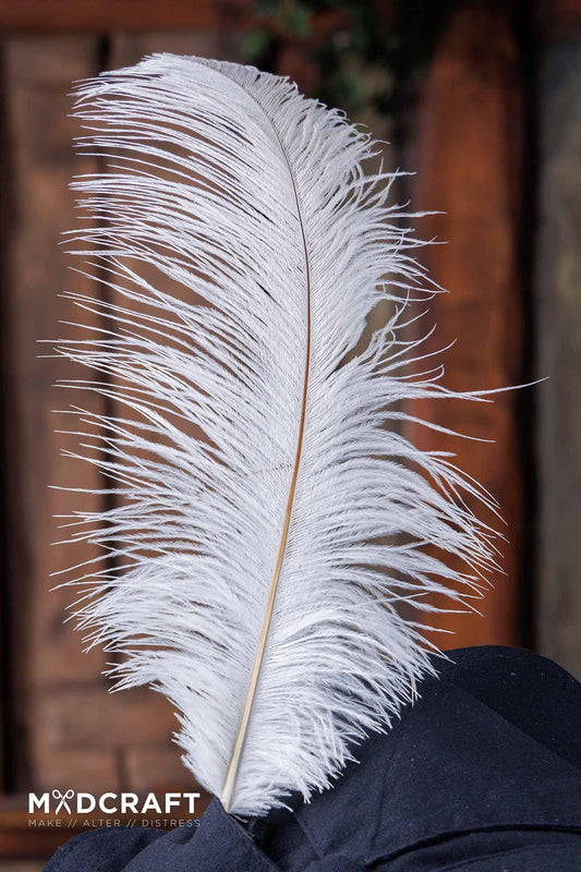 Ostrich Feather 45-50cm White - Which Mark