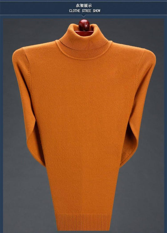 Cashmere Sweater High Neck Thickened Young And Middle-aged Men - Which Mark
