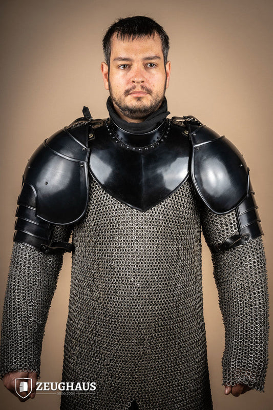 Pauldron Knight Burnished - Which Mark