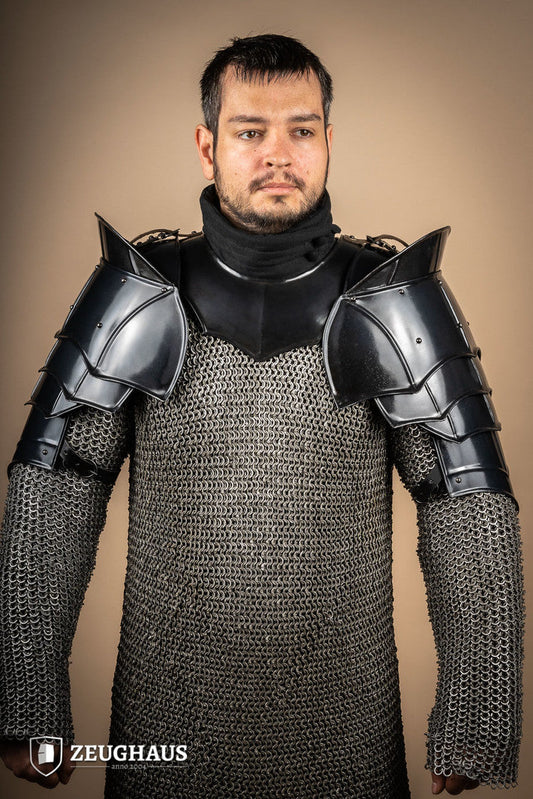 Pauldrons with Bladebreakers Champion Burnished - Which Mark