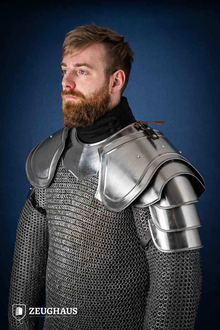 Pauldrons Warrior Polished - Which Mark