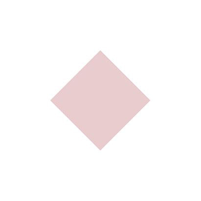 Premium Nail Lacquer, BLUSH - 032, NUDE PINK CRÈME NAIL POLISH - Which Mark
