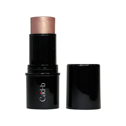 Highlighter Stick - Beige Lights HST102 with Vitamin C, Vitamin A, - Which Mark