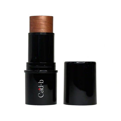 Highlighter Stick - Bronze Lights - HST103 with Vitamin C, Vitamin A, - Which Mark