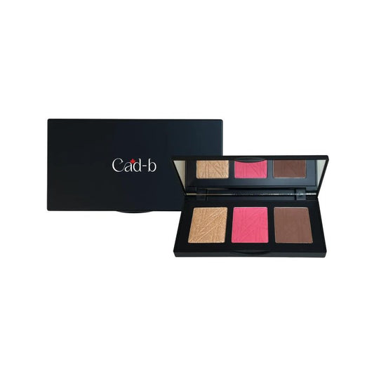 Pro Cheek Palette in both Matte and Shimmer Shades - Pop - PCP53 - Which Mark