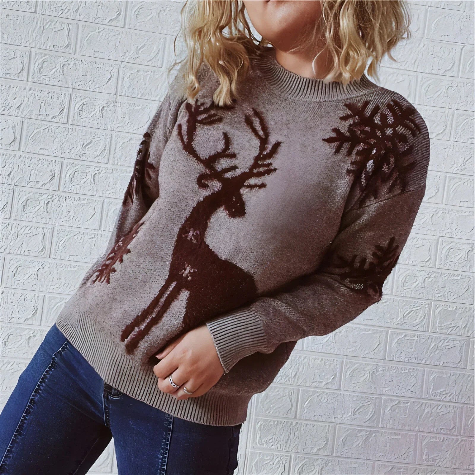 Women's Fashion Round Neck Long Sleeve Knitted Christmas Sweater - Which Mark