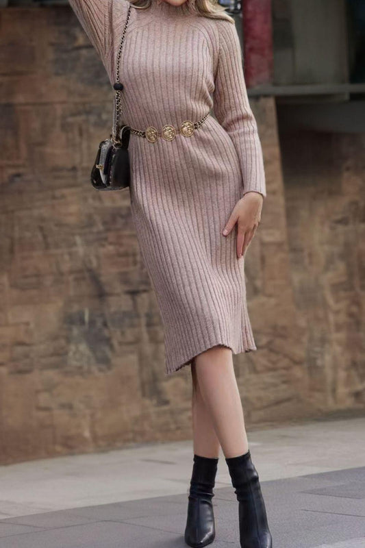 Ribbed Mock Neck Sweater Dress - Which Mark