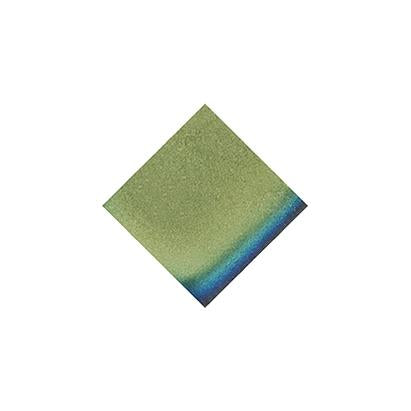 Premium Nail Lacquer, LAUTA - 581, IRIDESCENT METAL NAIL POLISH - Which Mark