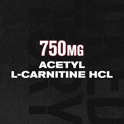 Acetyl L Carnitine Supplement 750mg - Extra Strength L-Carnitine (ALCAR) for Energy, Mood Improvement, Memory & More - 120 Capsules - Which Mark