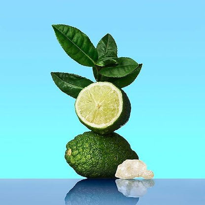 Calvin Klein CK One for Men & Women - Citrus unisex fragrance, Top notes: Green Tea, Bergamot, Cardamom - Which Mark