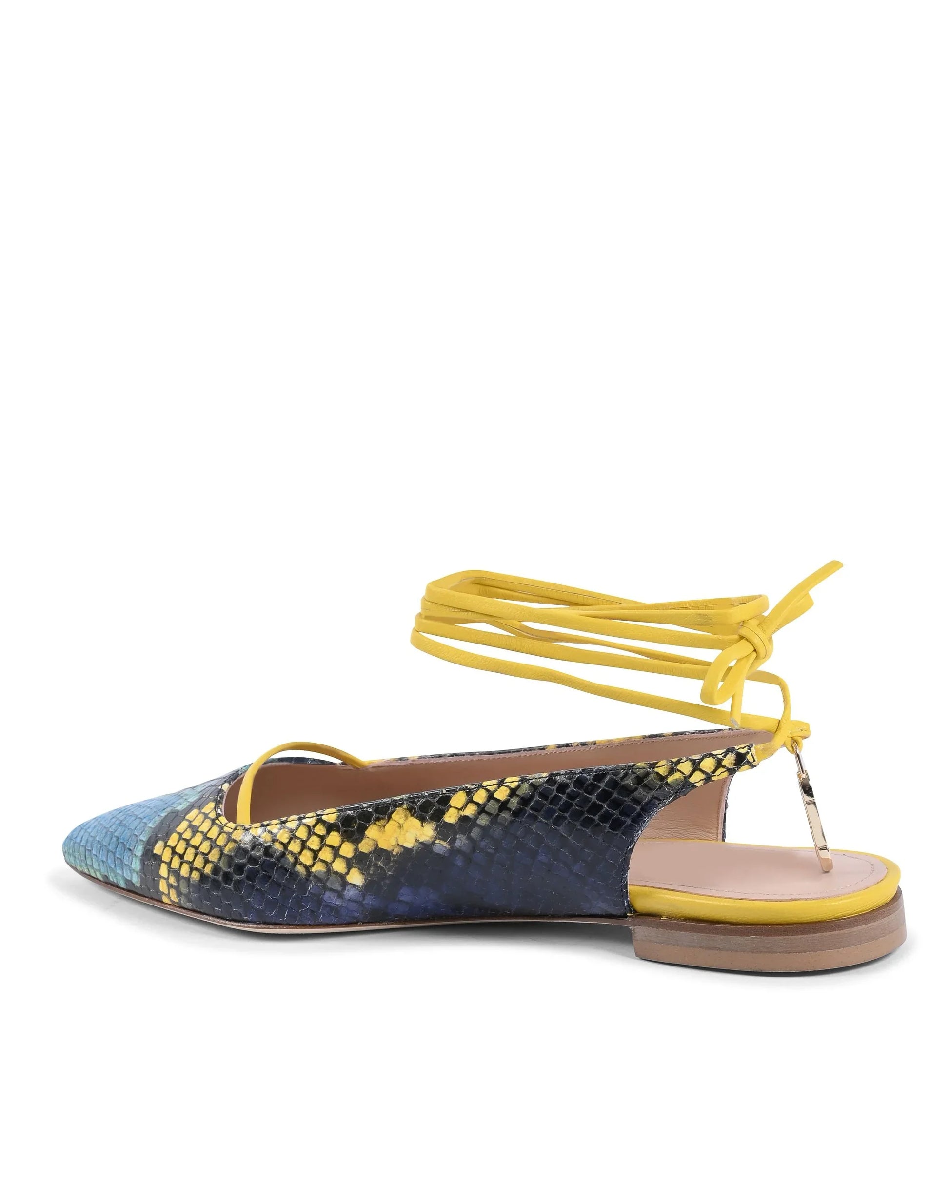 Brenda Flat Python - Blue/Yellow - Which Mark