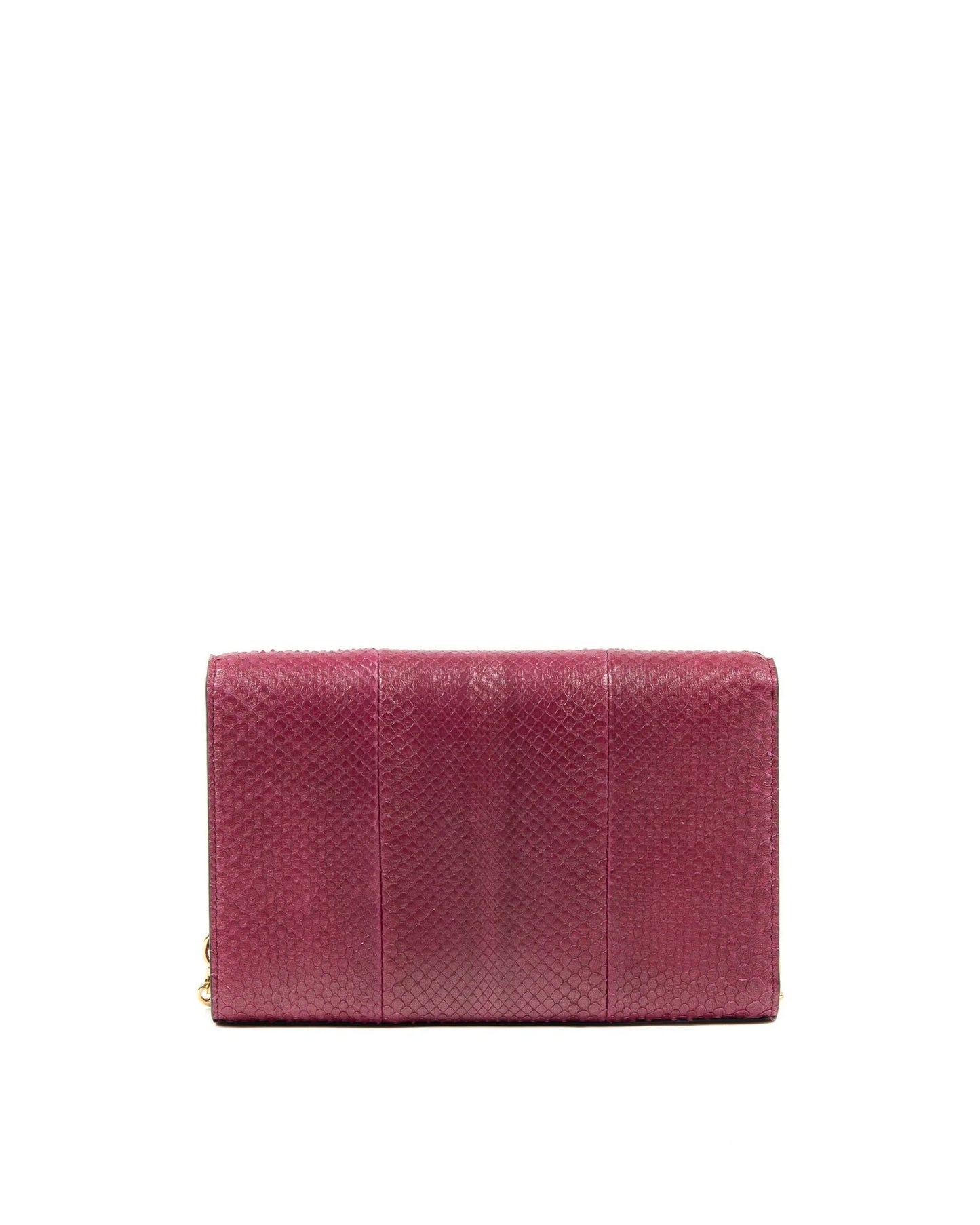 Firenze Python Clutch - Which Mark