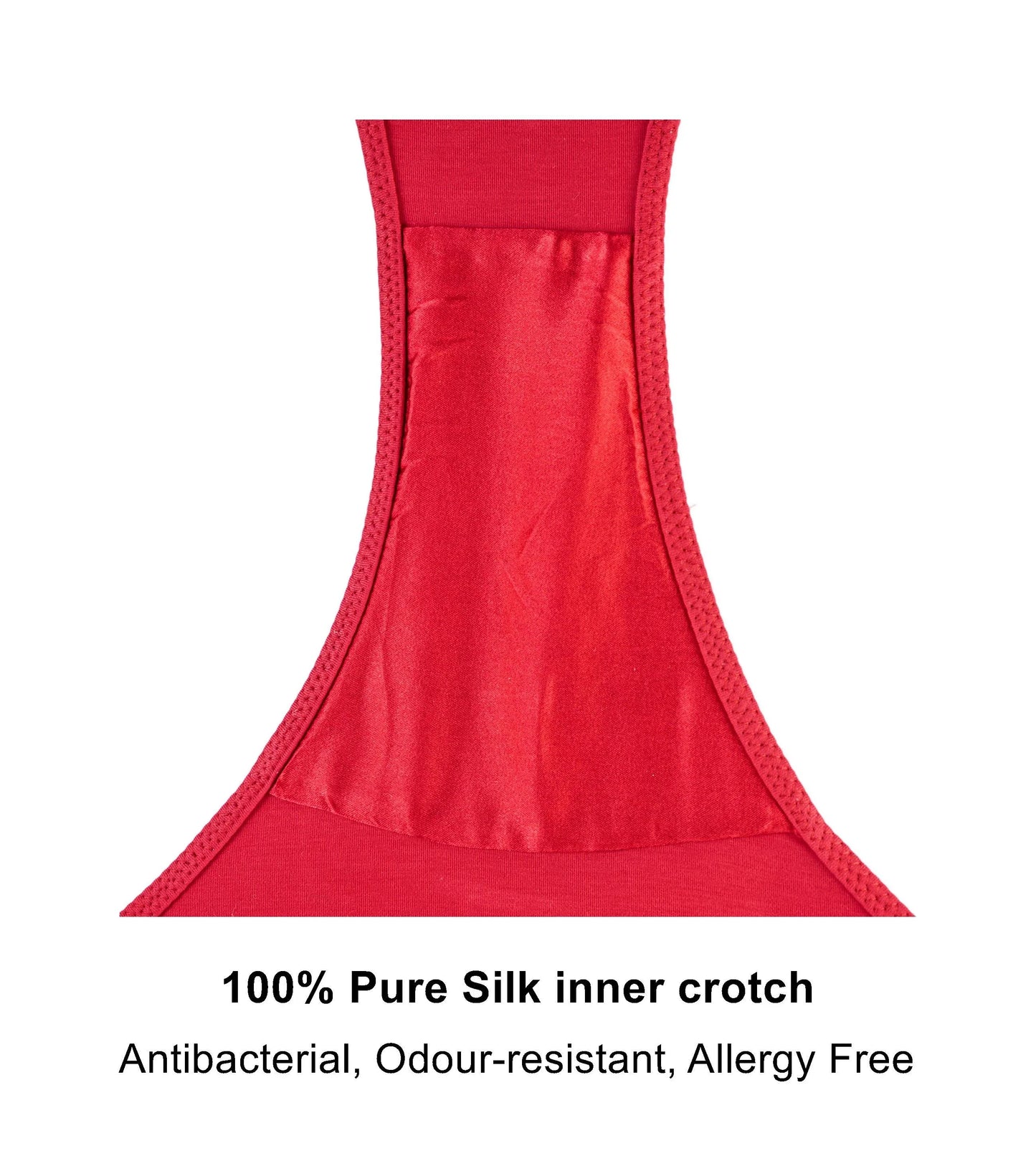 Passion Red - Silk & Organic Cotton Brief - Which Mark