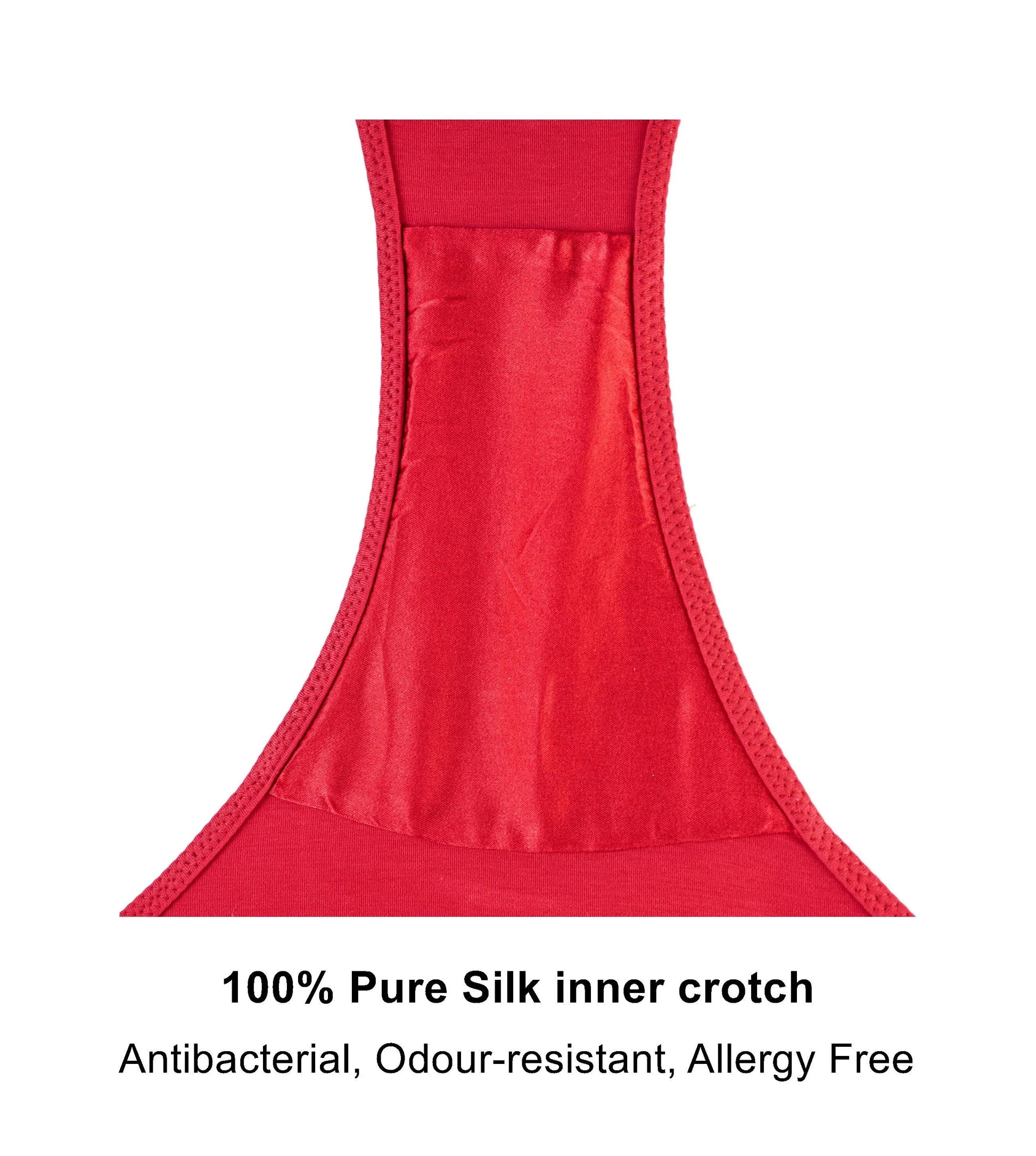 Passion Red - Silk & Organic Cotton Brief - Which Mark