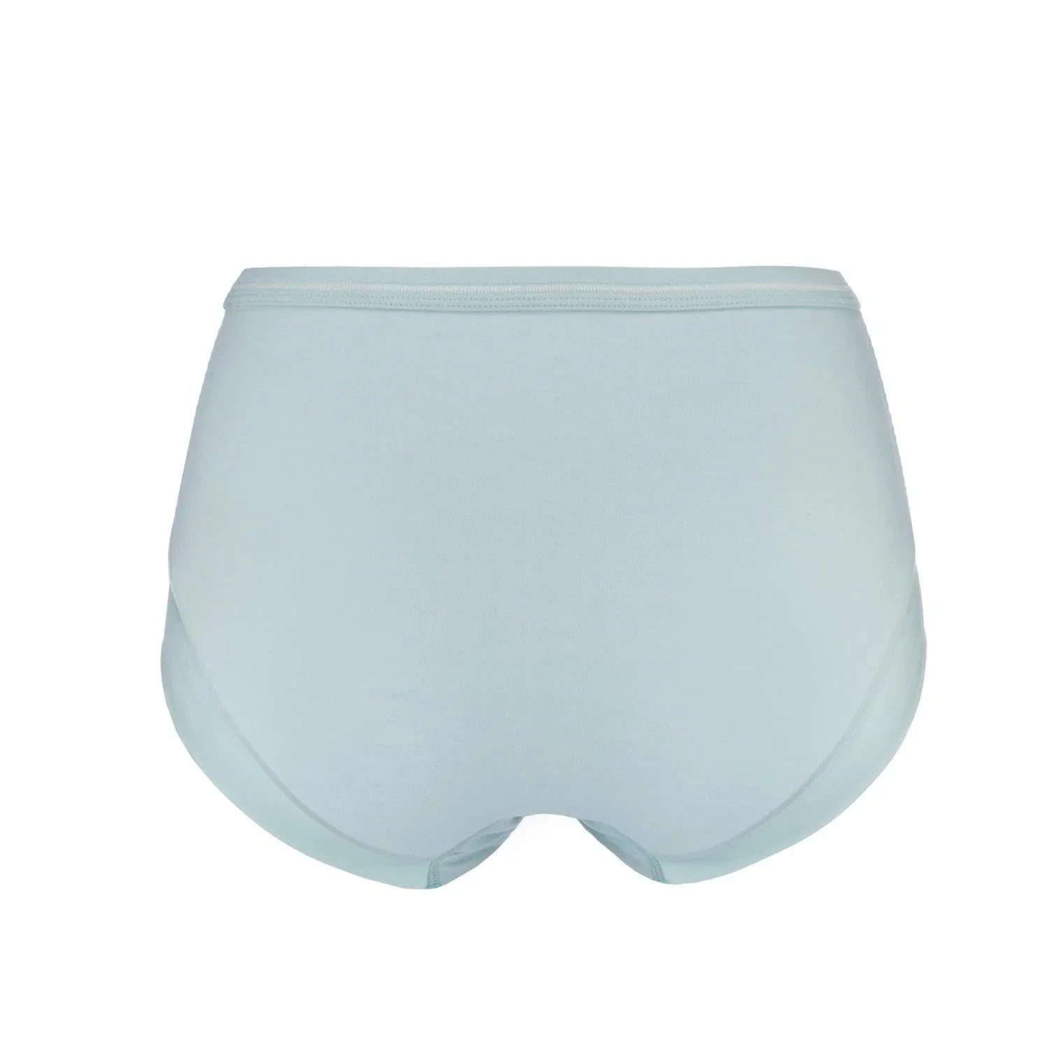 Opal Blue - High Waisted Silk & Organic Cotton Full Brief - Which Mark