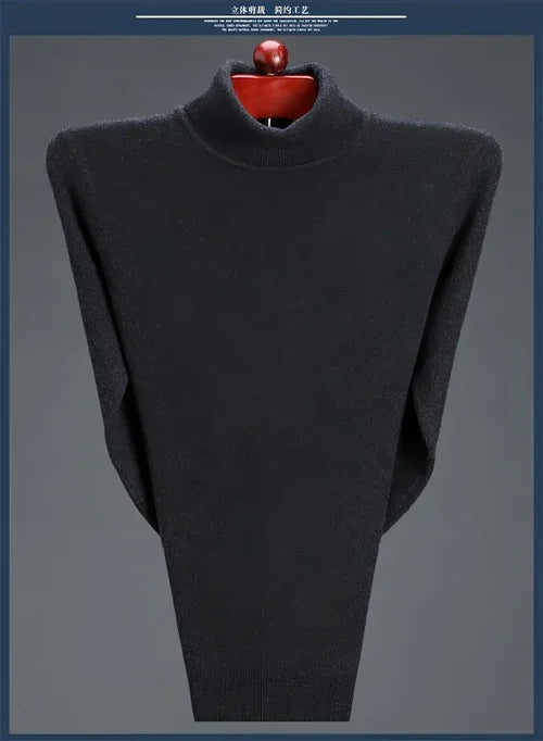 Cashmere Sweater High Neck Thickened Young And Middle-aged Men - Which Mark