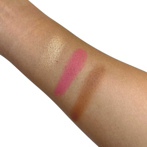 Pro Cheek Palette in both Matte and Shimmer Shades - Pop - PCP53 - Which Mark