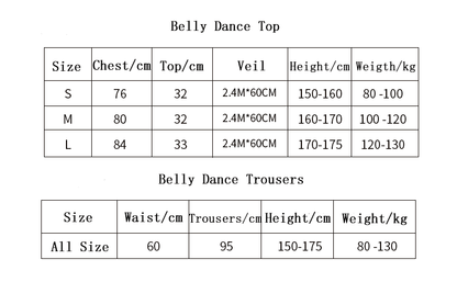 Arabian Princess Costumes Belly Dance Outfit Party Cosplay - Which Mark