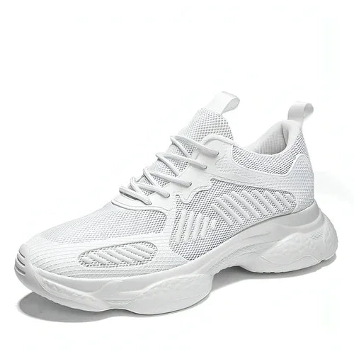 Men's Shoes Daddy Heighten Shoes Korean Casual Shoes Casual - Which Mark