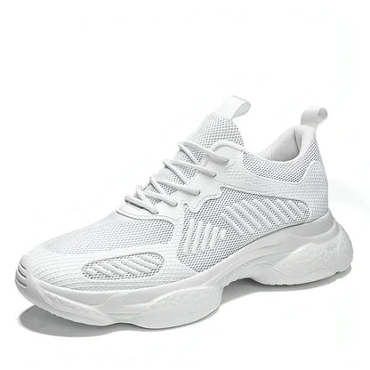 Men's Shoes Daddy Heighten Shoes Korean Casual Shoes Casual - Which Mark