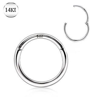 14Kt. White Gold Seamless Clicker Ring - Which Mark