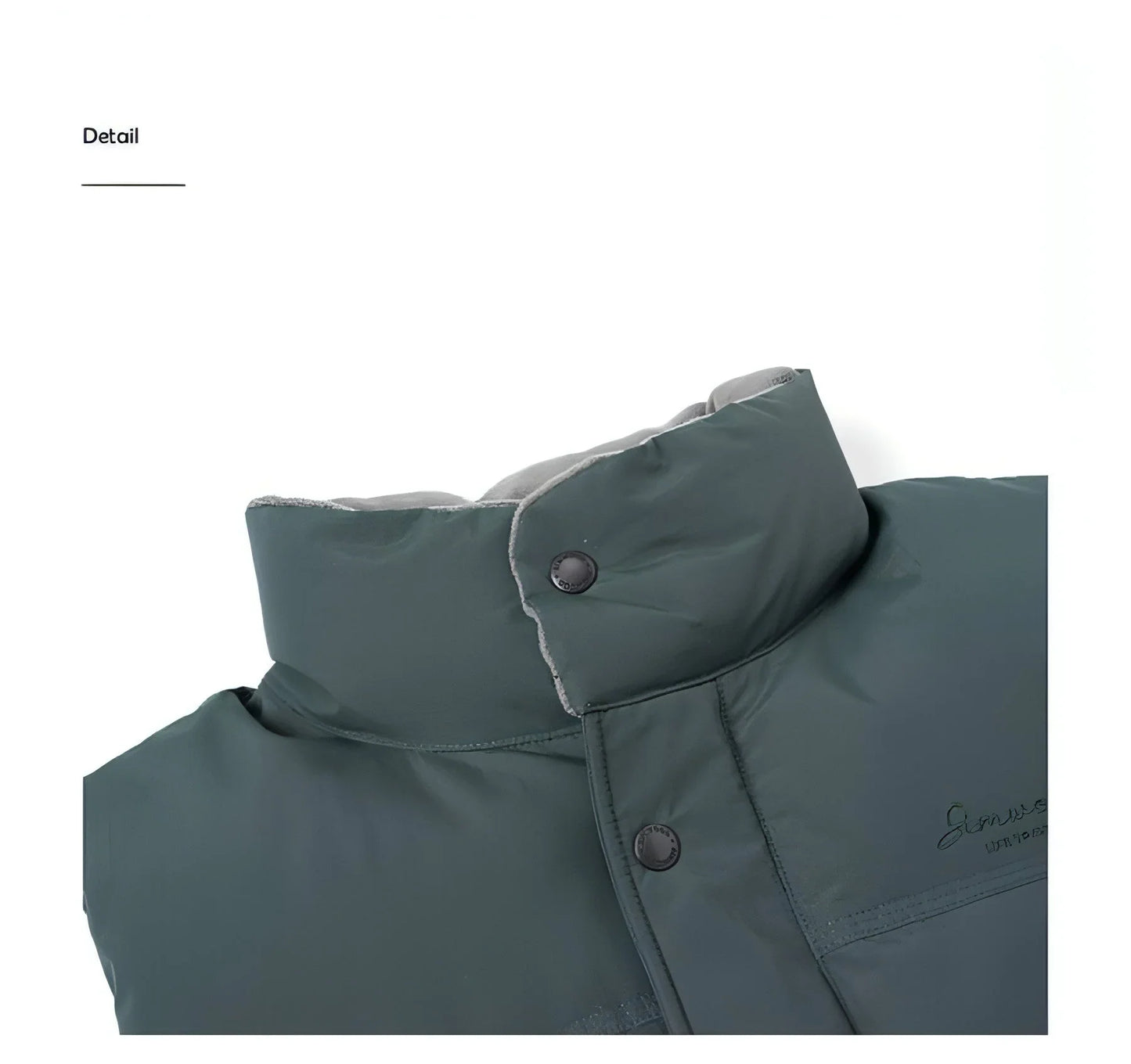 White Duck Down Three-proof Vest Down Jacket Coat For Men - Which Mark