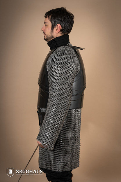 Cuirass Warrior With Tassets Burnished - Which Mark