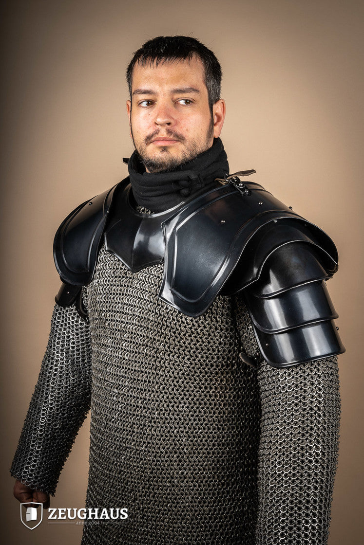 Pauldrons Warrior Burnished - Which Mark