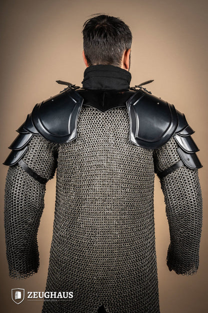 Pauldrons Warrior Burnished - Which Mark